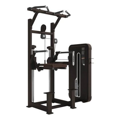 ディップ&チンアシスト EVW-A009