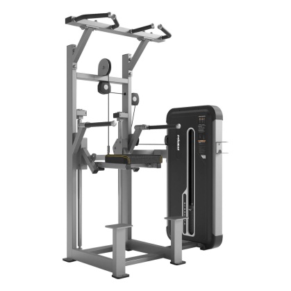 ディップ&チンアシスト EVW-A009